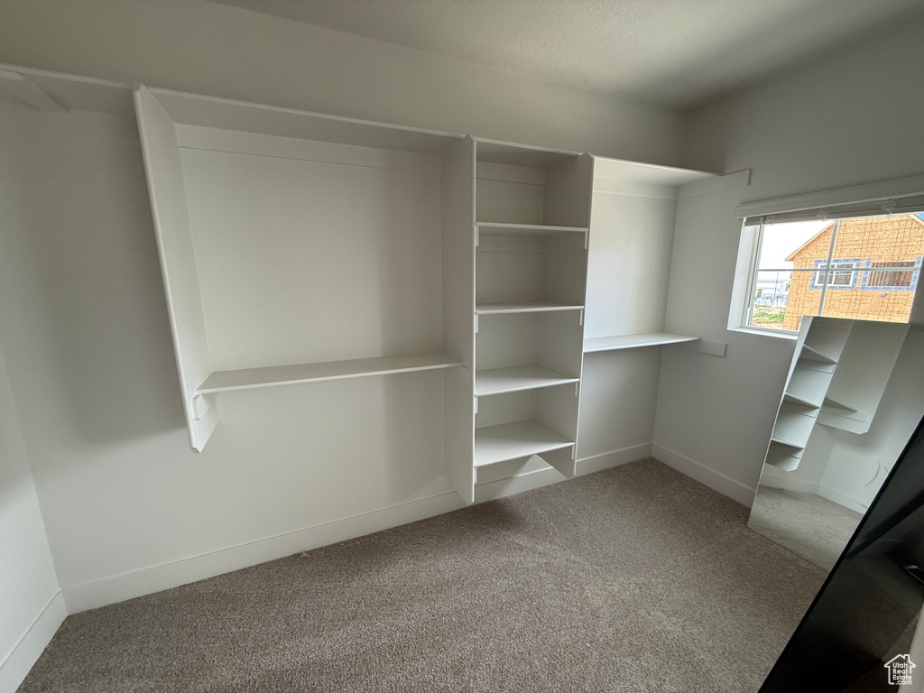 Spacious closet with carpet floors