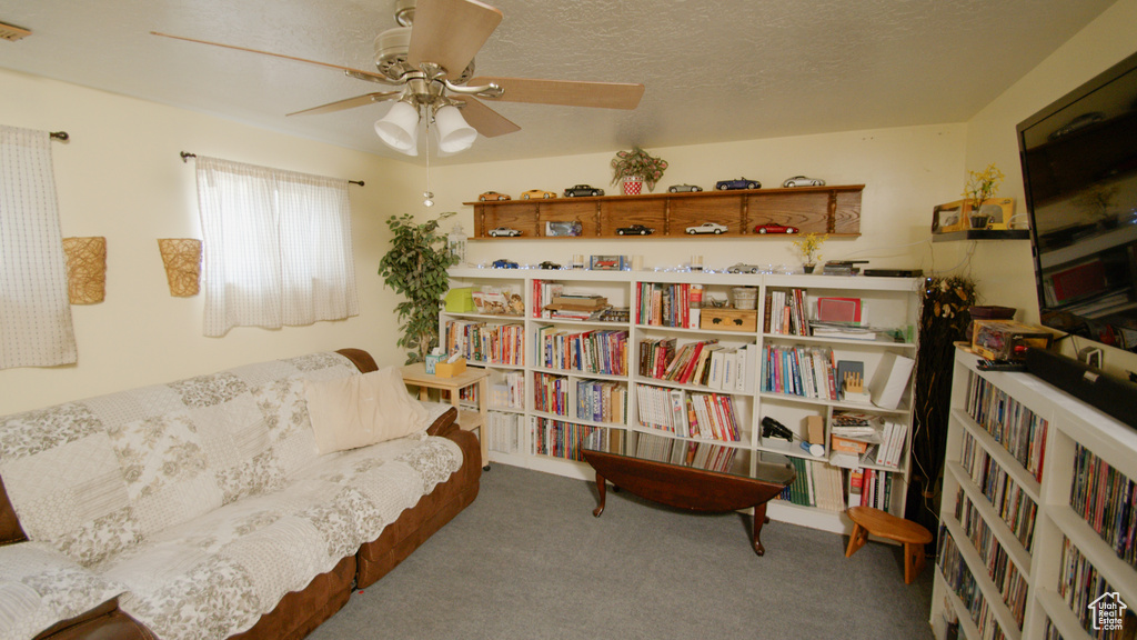 Sitting room with ceiling fan and carpet floors
