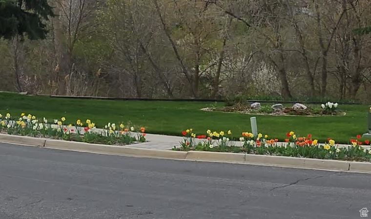 View of home\\\\\\\'s community featuring a lawn