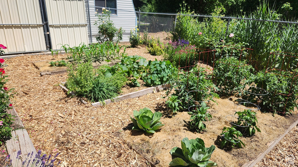View of yard with a garden