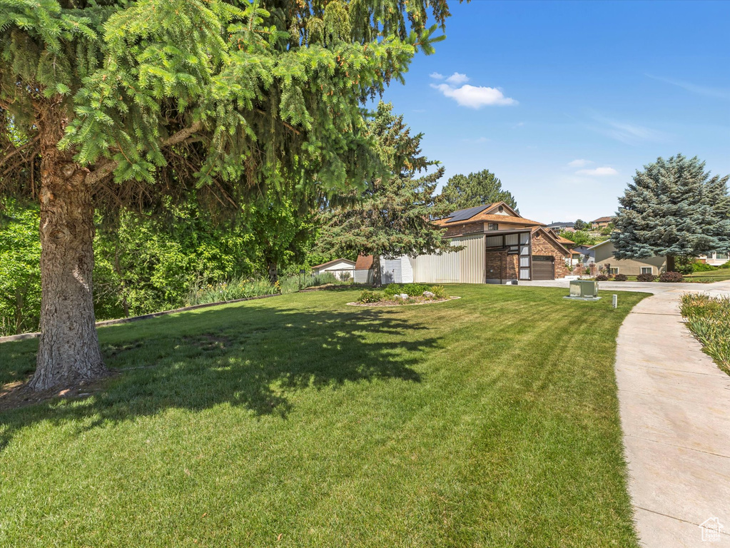 View of green lawn with driveway and an attached garage