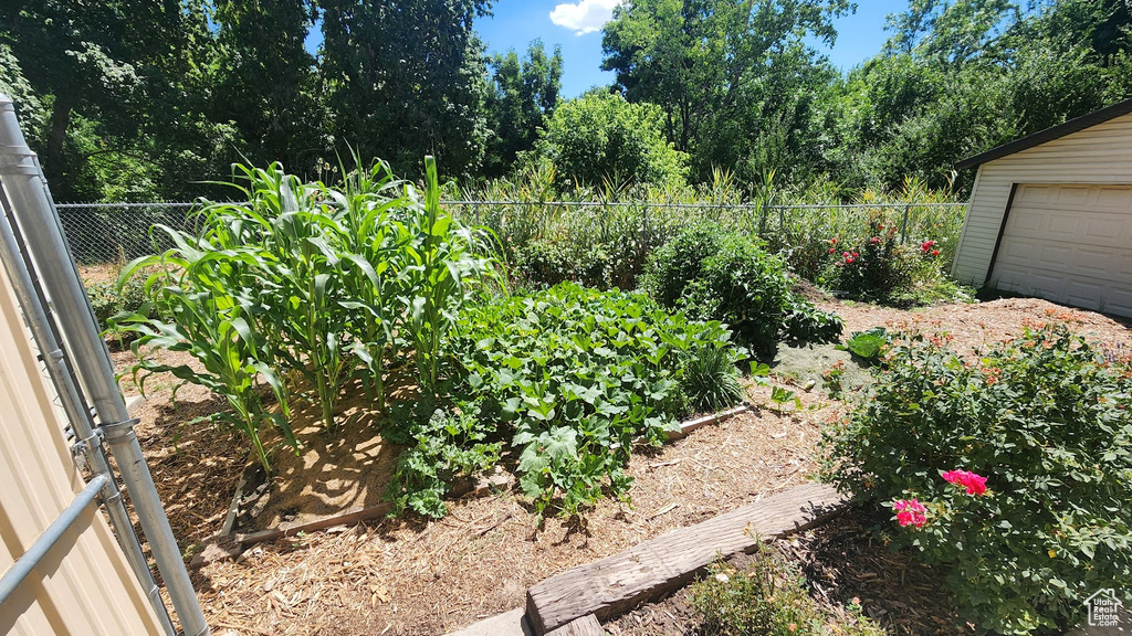 View of yard featuring a vegetable garden