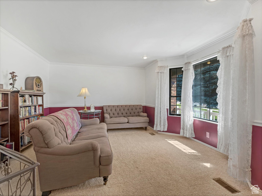 Carpeted living room featuring crown molding