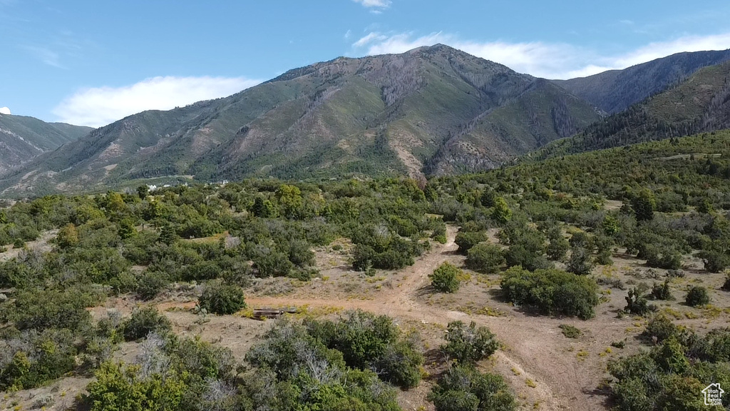 View of mountain background