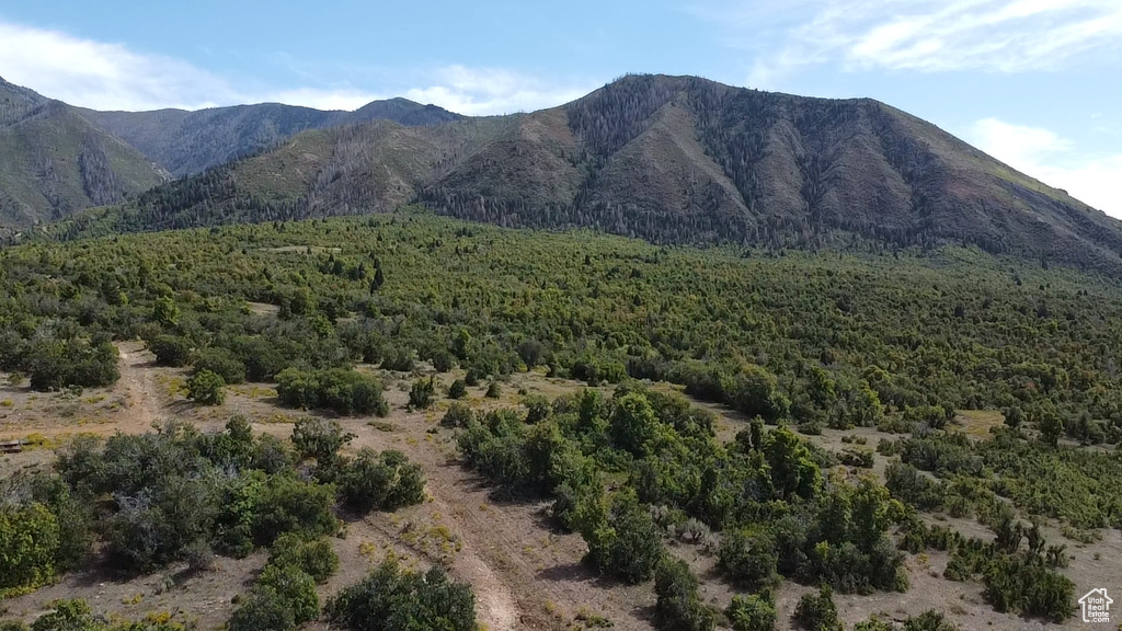 View of mountain background with a forest
