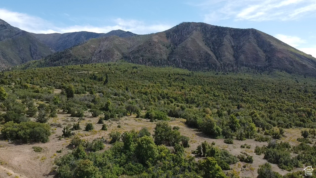 View of mountain backdrop featuring a heavily wooded area