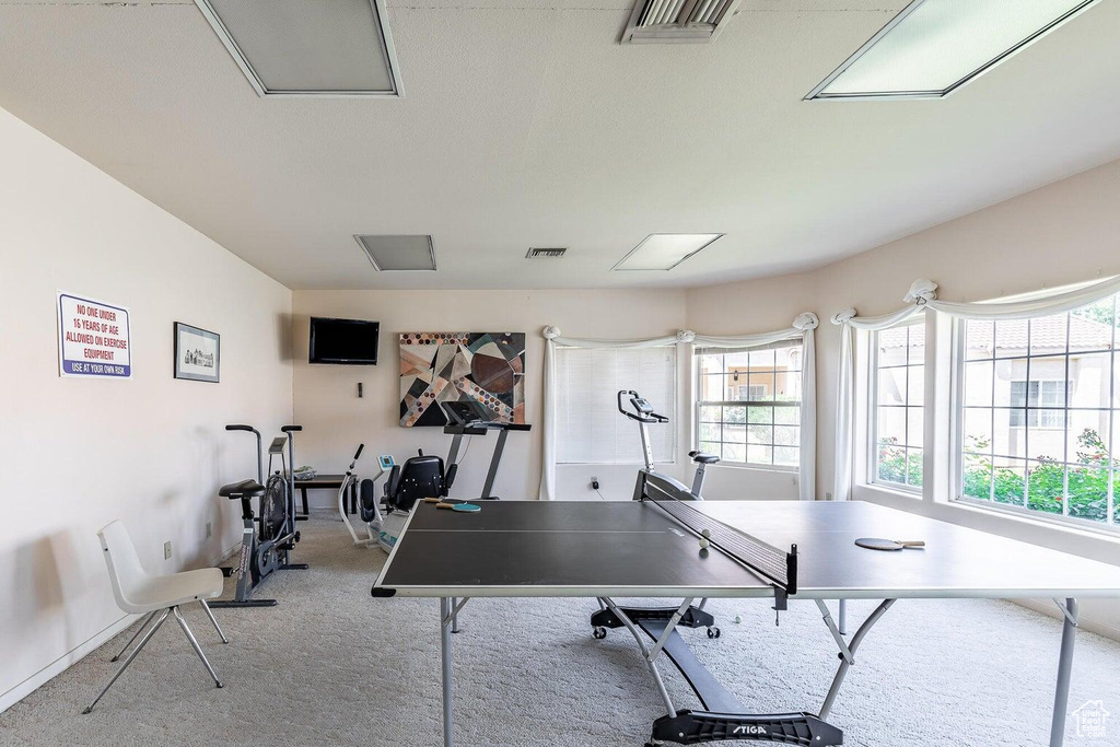 Recreation room featuring carpet floors and baseboards