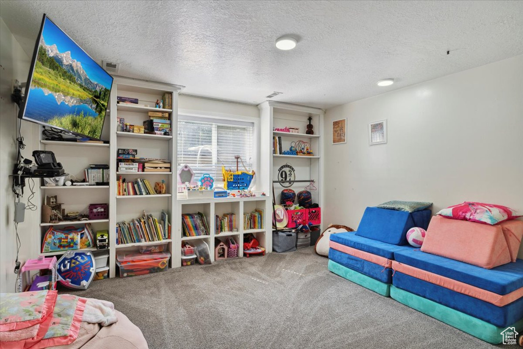 Rec room featuring carpet floors and a textured ceiling