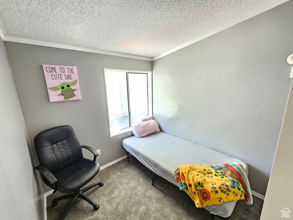 Carpeted bedroom featuring a textured ceiling, crown molding, and baseboards