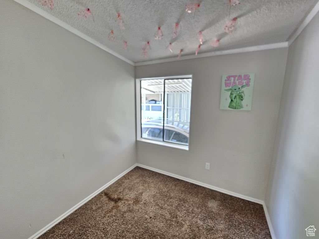 Carpeted spare room featuring ornamental molding, a textured ceiling, and baseboards