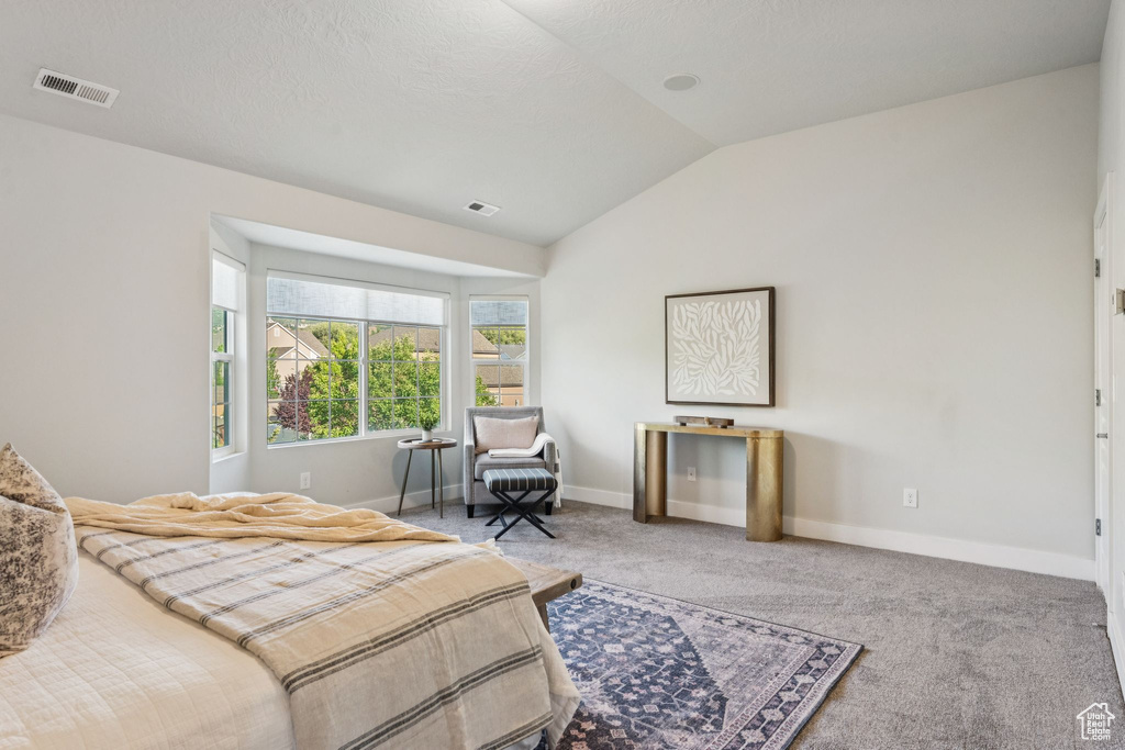 Bedroom featuring lofted ceiling, carpet, and baseboards