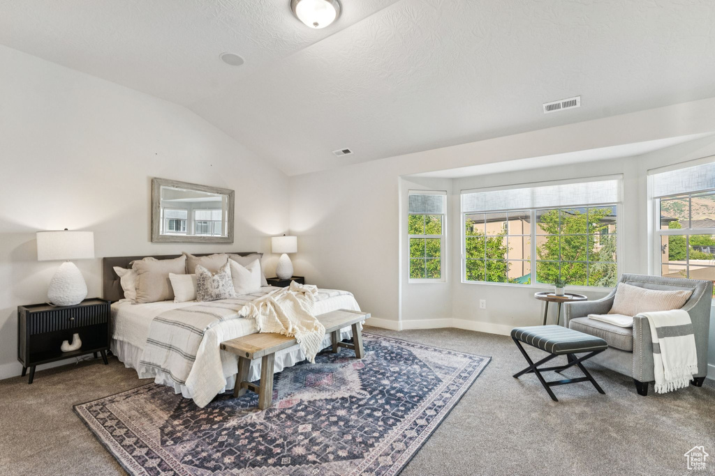 Bedroom with carpet floors, lofted ceiling, and baseboards