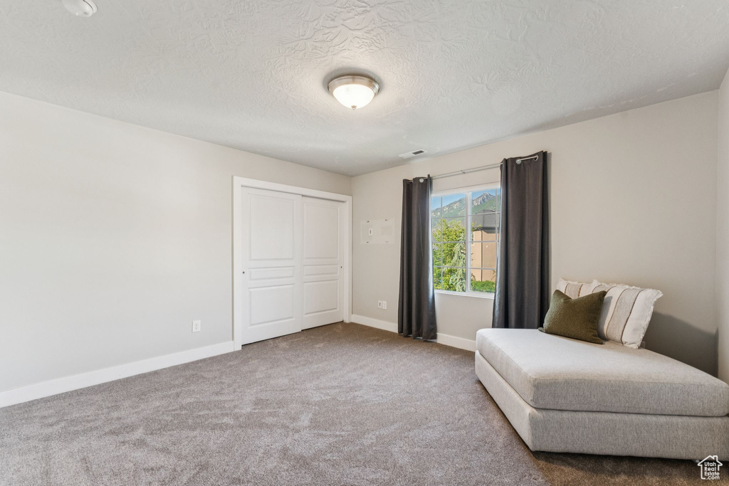 Living area featuring carpet floors, baseboards, and a textured ceiling