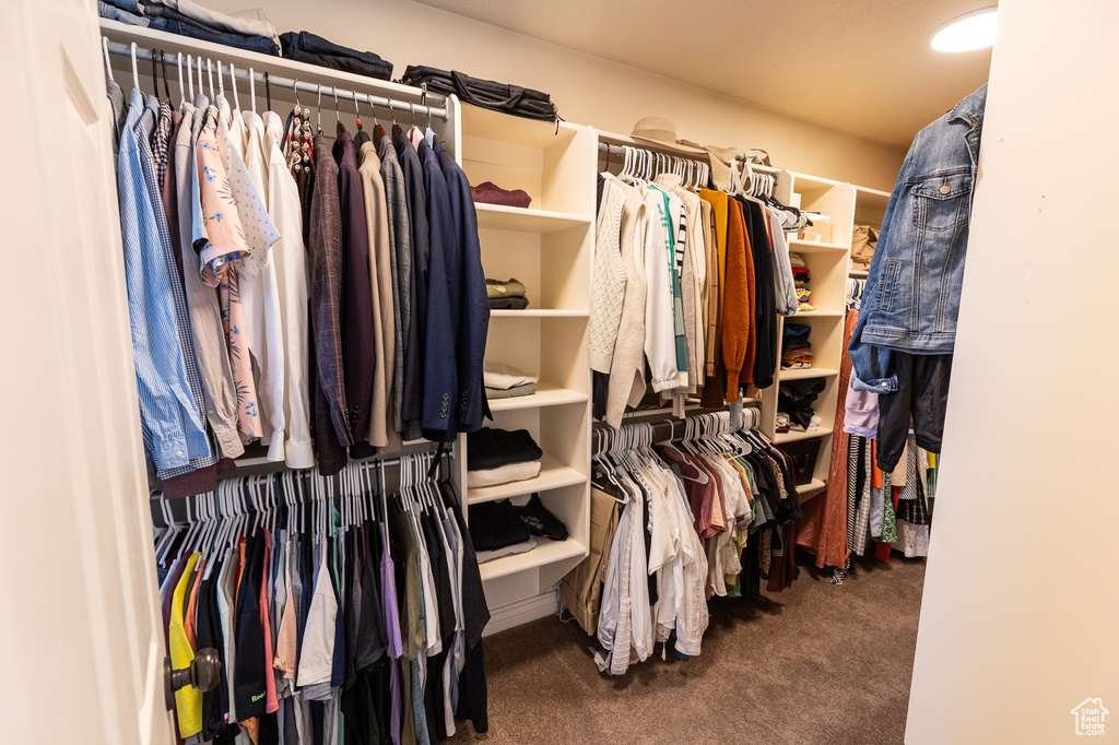 Walk in closet with carpet floors