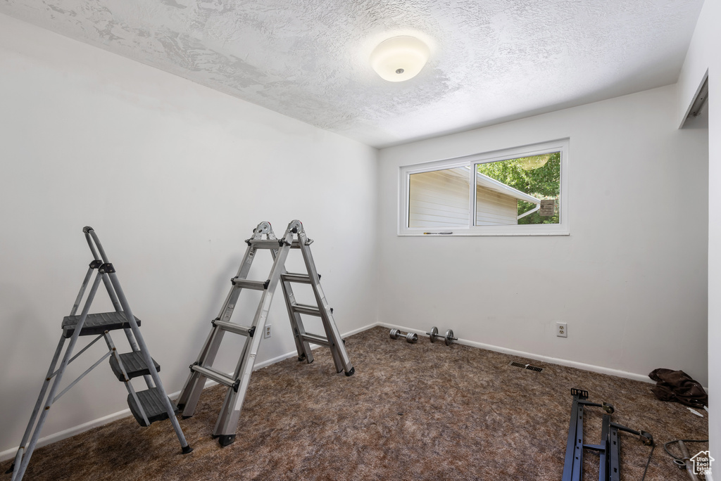 Exercise room featuring carpet, a textured ceiling, and baseboards