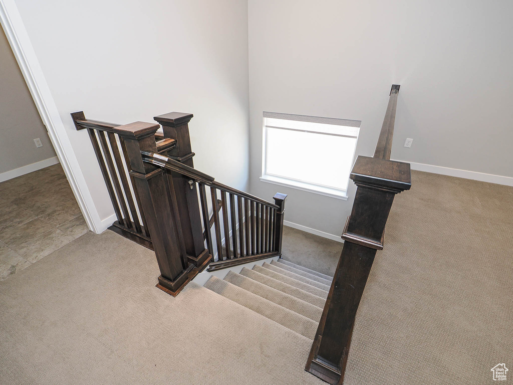 Stairs with carpet and baseboards