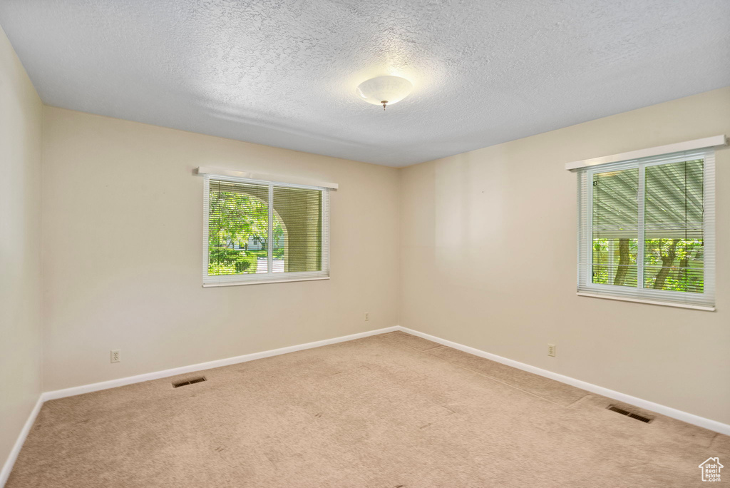Spare room featuring plenty of natural light, carpet, baseboards, and a textured ceiling