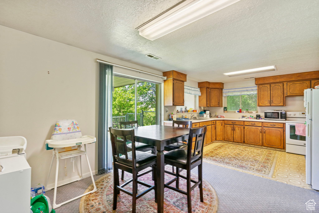 Dining room with a textured ceiling