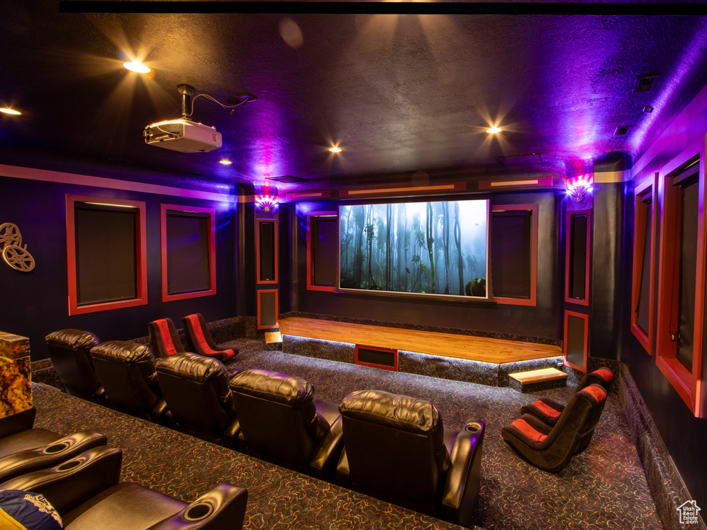Cinema room with carpet floors