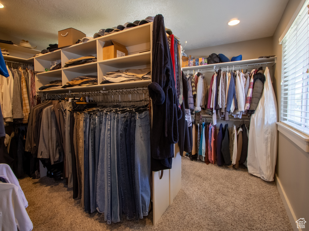 Spacious closet featuring carpet