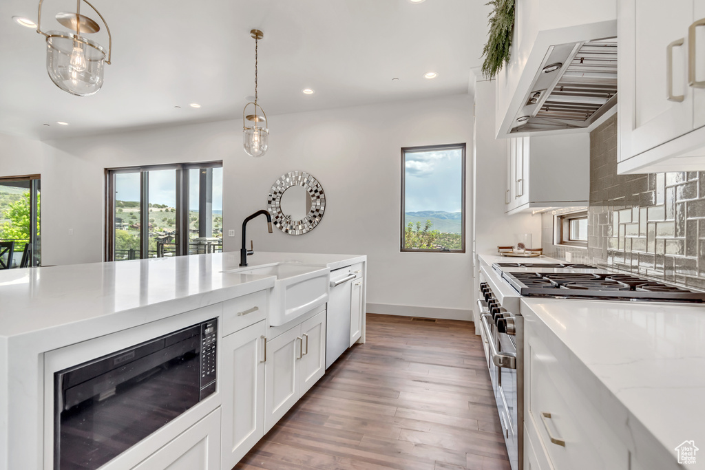 Kitchen featuring appliances with stainless steel finishes, a sink, light wood-style floors, ventilation hood, and tasteful backsplash