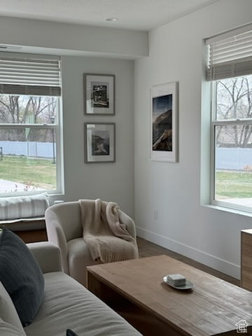 Living area featuring baseboards, wood finished floors, and recessed lighting