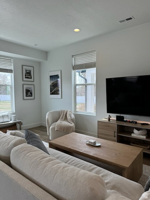 Living room featuring baseboards, a textured ceiling, recessed lighting, and wood finished floors