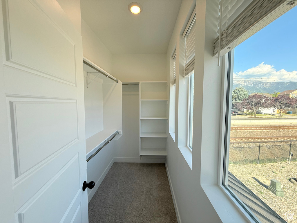 Walk in closet with carpet flooring