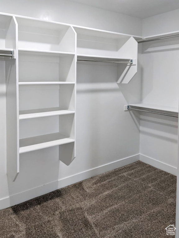 Walk in closet with carpet floors
