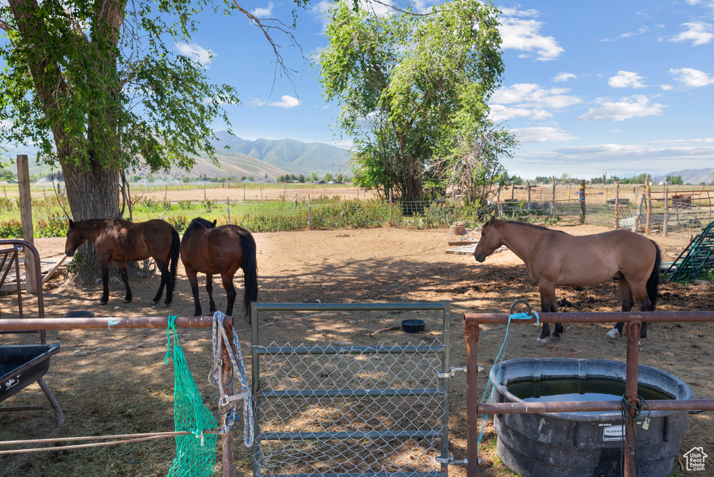 Horse barn featuring a view of countryside and a mountain view