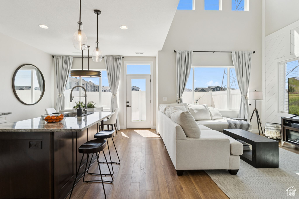 Living room with dark wood-style floors, plenty of natural light, and recessed lighting