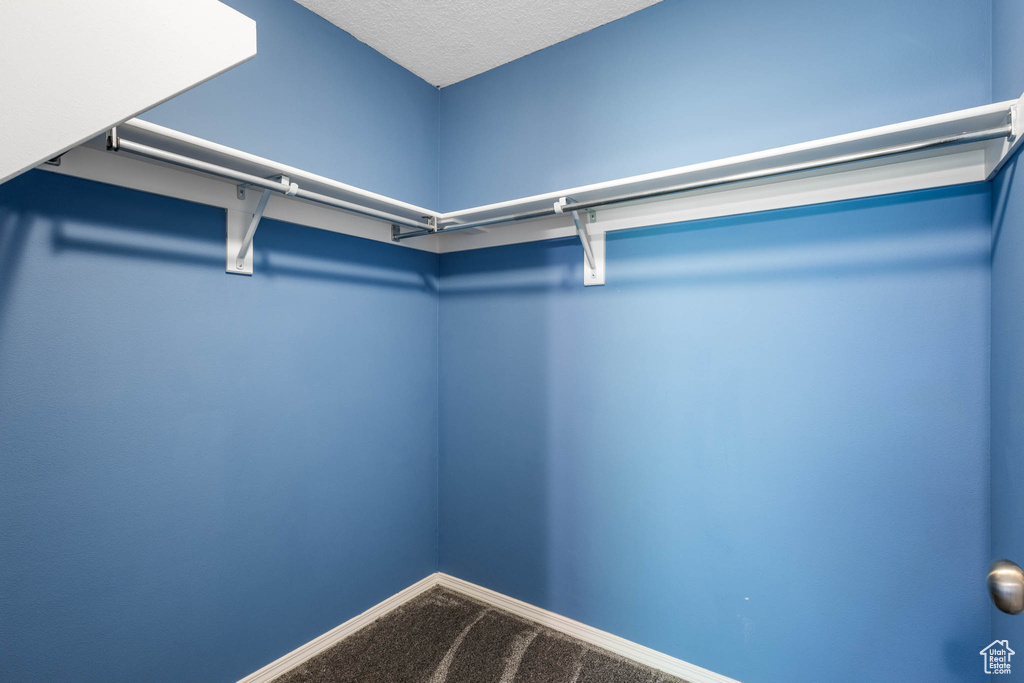 Walk in closet featuring carpet flooring