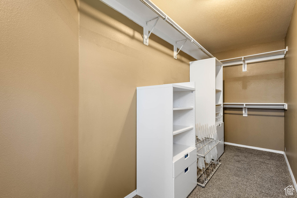 Walk in closet featuring carpet floors