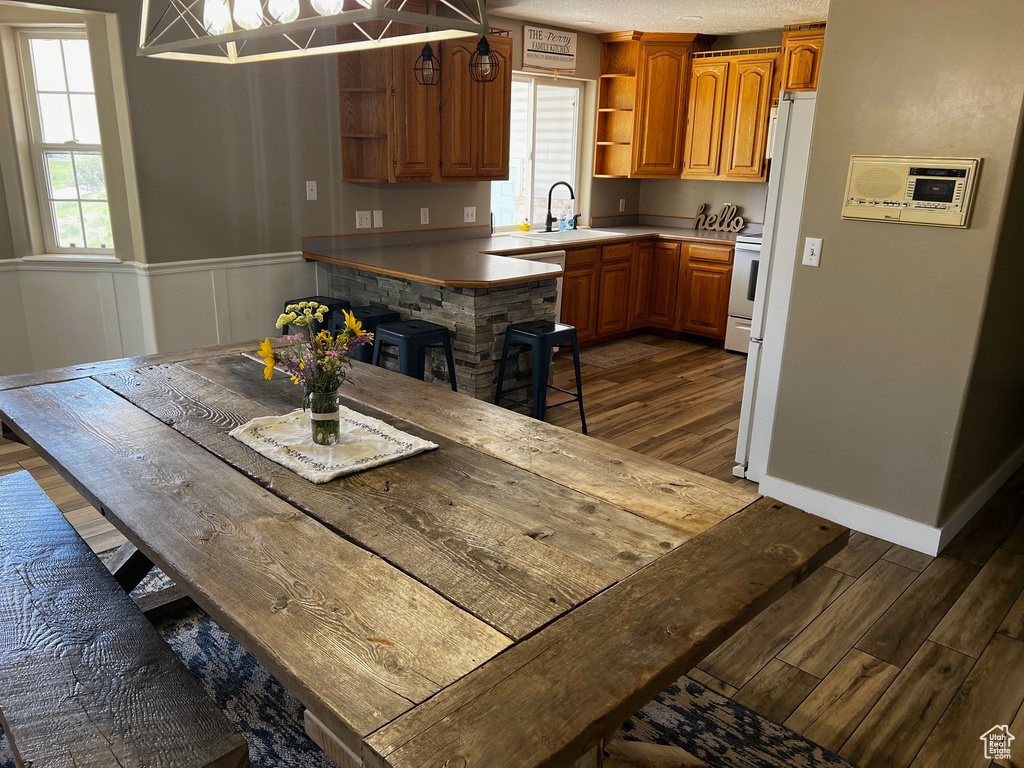 Kitchen with open shelves, dark wood-type flooring, a sink, wainscoting, and plenty of natural light