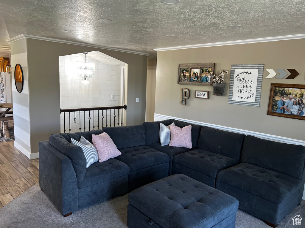 Living area with ornamental molding, wood finished floors, a chandelier, and a textured ceiling