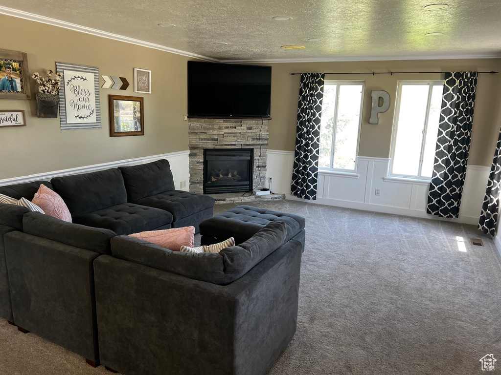 Living area featuring ornamental molding, a textured ceiling, carpet floors, wainscoting, and a fireplace