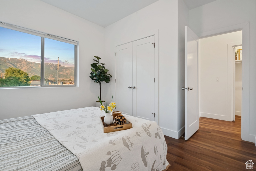 Bedroom with dark wood-type flooring, a closet, and baseboards