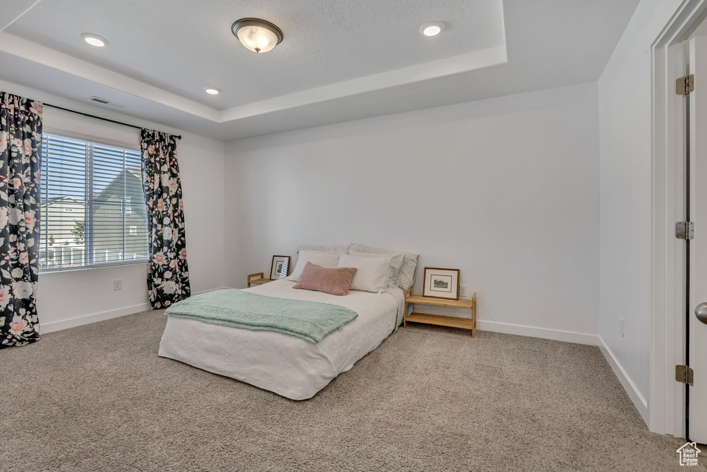 Carpeted bedroom with a raised ceiling, baseboards, and recessed lighting