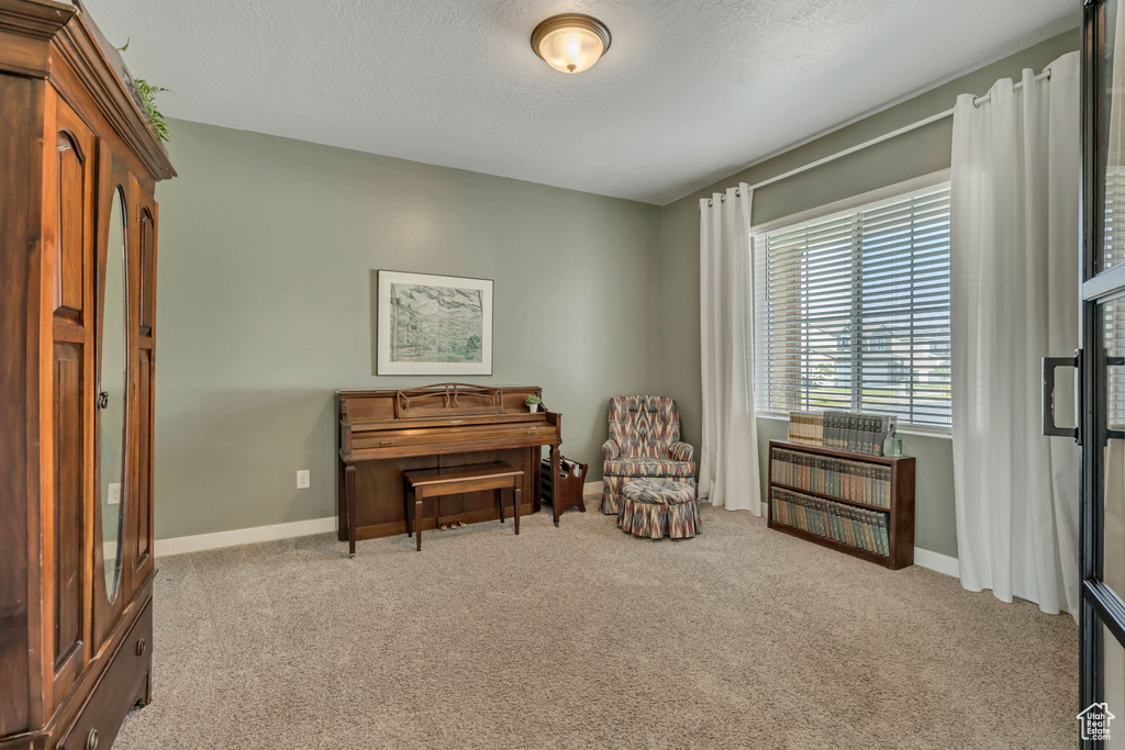 Sitting room with carpet, baseboards, and a textured ceiling
