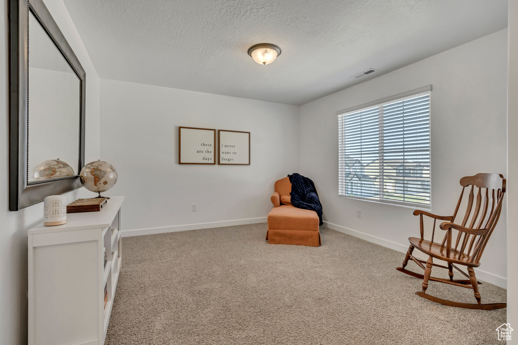 Sitting room with carpet flooring, a textured ceiling, and baseboards