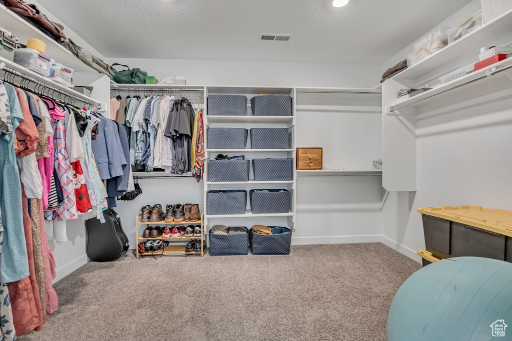 Spacious closet with carpet