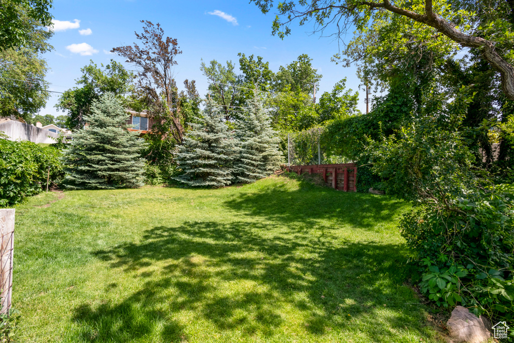 View of green lawn
