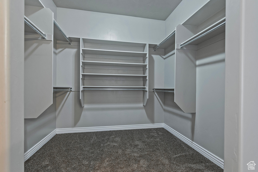 Walk in closet with carpet flooring
