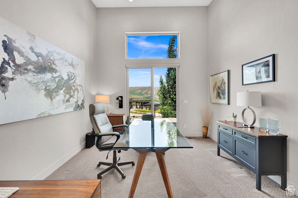 Office area with light carpet, a high ceiling, and baseboards