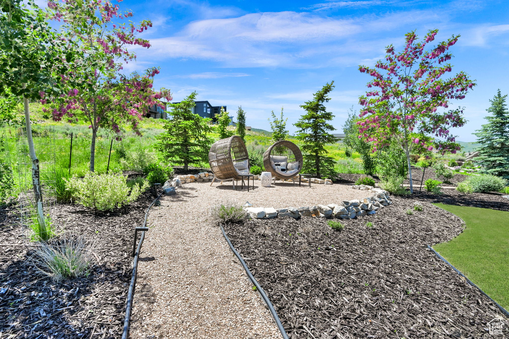 View of yard featuring a patio area