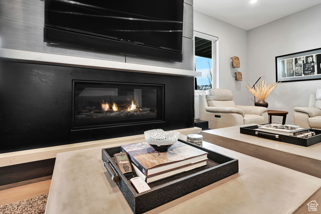 Living area with a glass covered fireplace