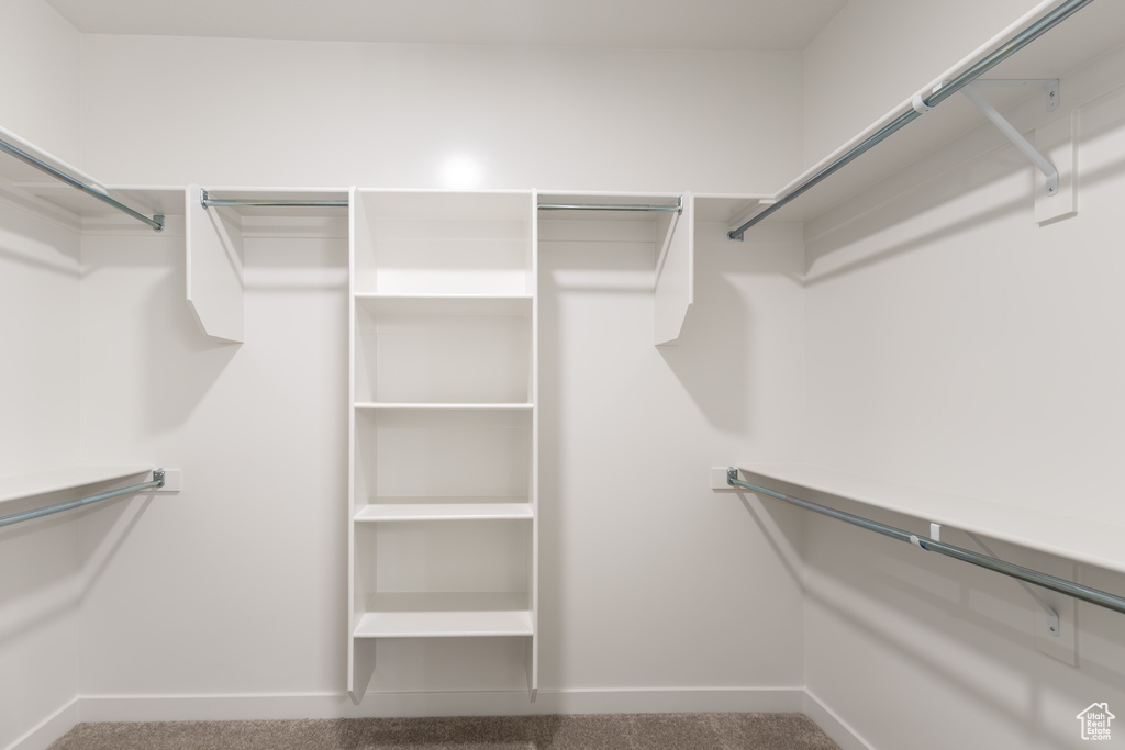 Walk in closet featuring carpet floors