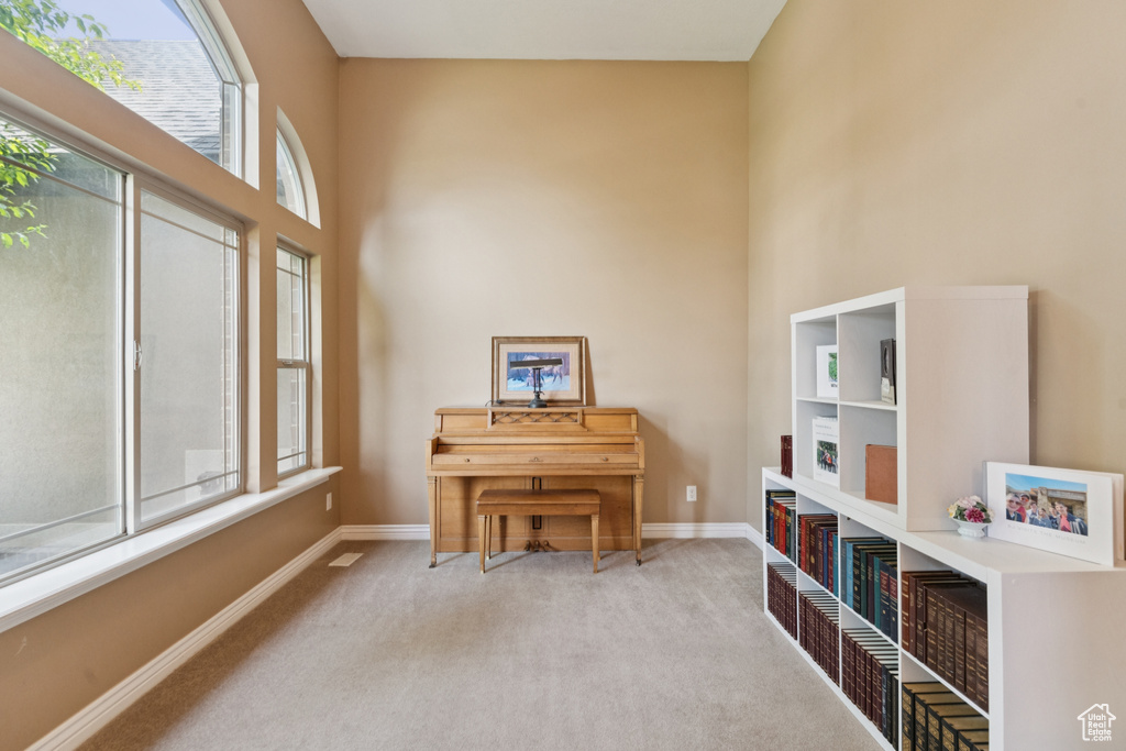 Sitting room with carpet, baseboards, and a towering ceiling