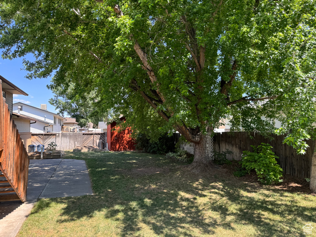 View of yard featuring a patio