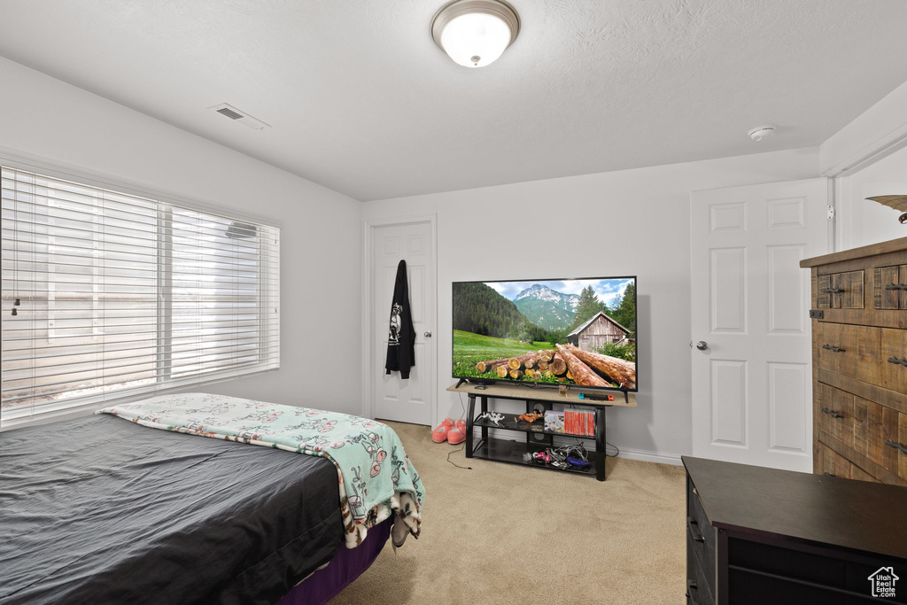 Bedroom with light carpet